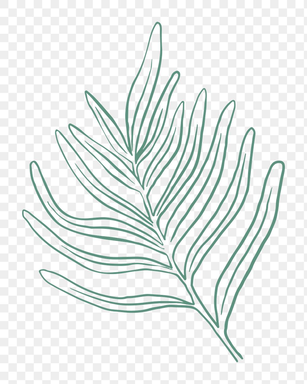 Green leaf png sticker line art illustration, transparent background