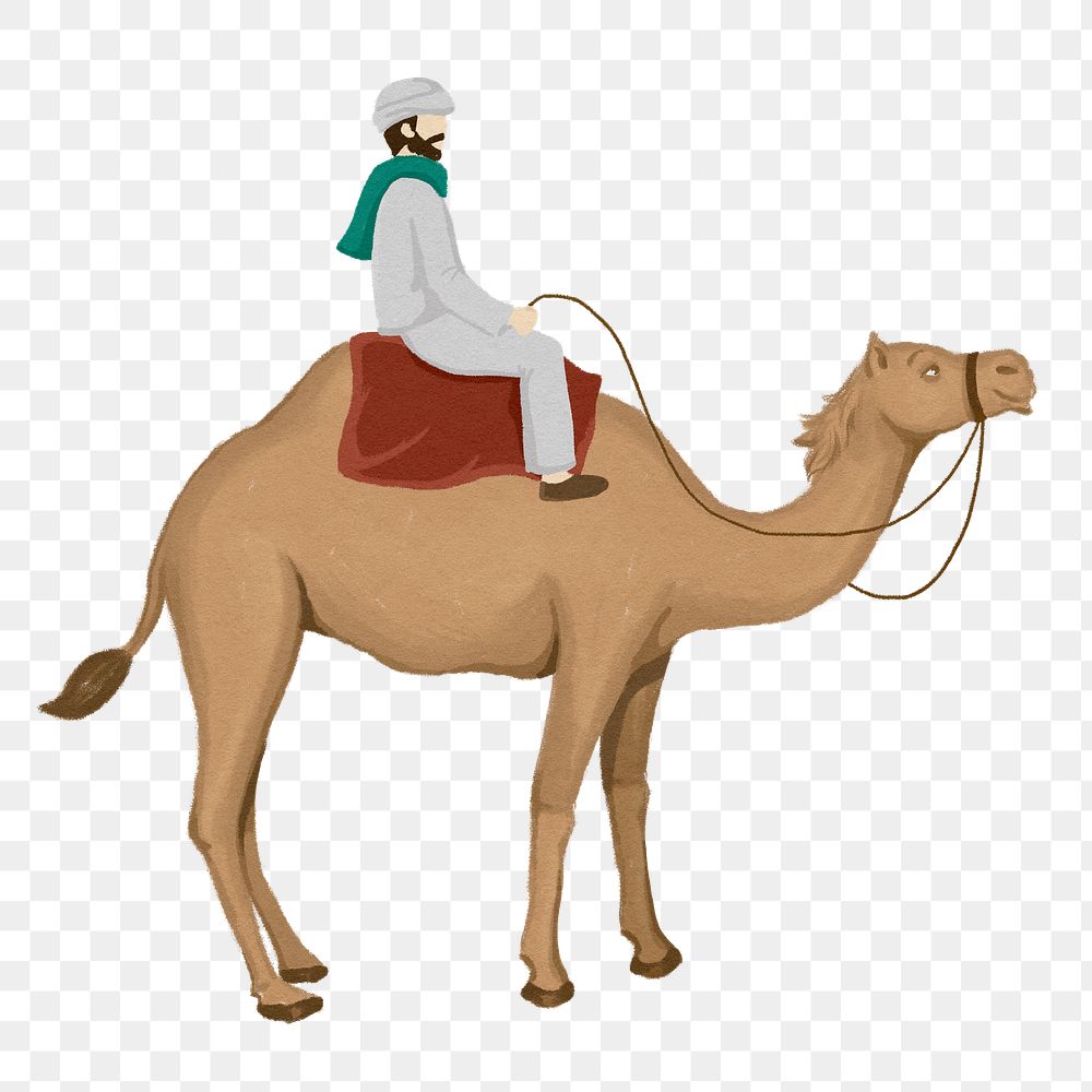 Camel rider png sticker, watercolor animal illustration, transparent background