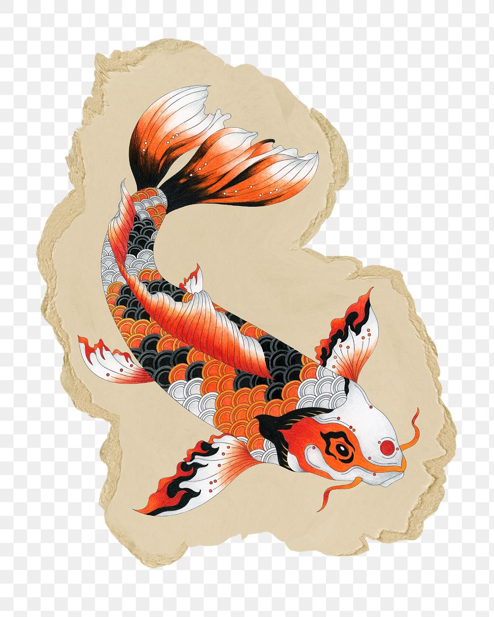 Japanese koi fish png sticker, ripped paper, transparent background