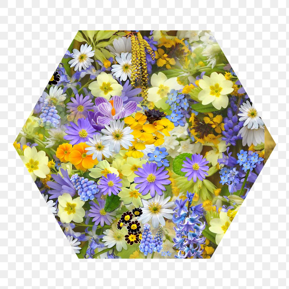 Colorful flowers png badge sticker, Spring photo in hexagon shape, transparent background