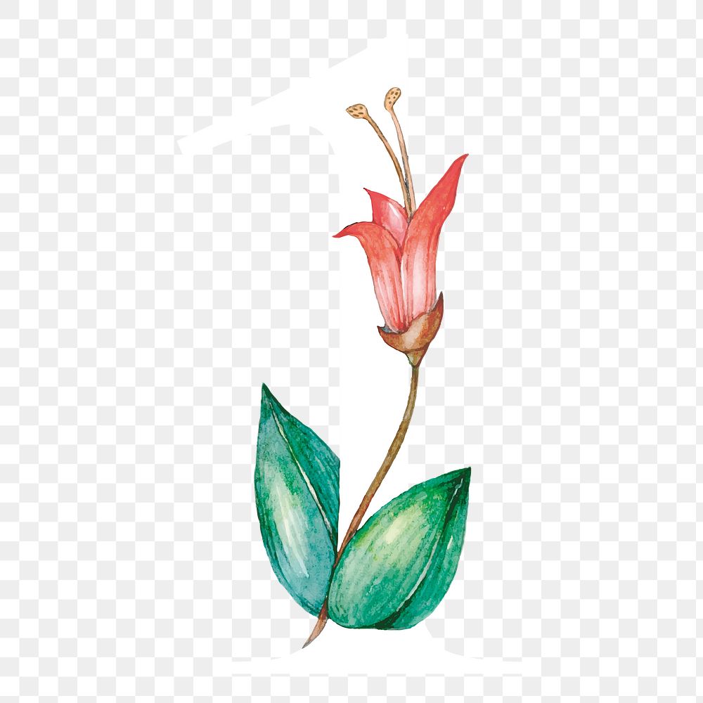 Png number 1 flower sticker, botanical design, transparent background