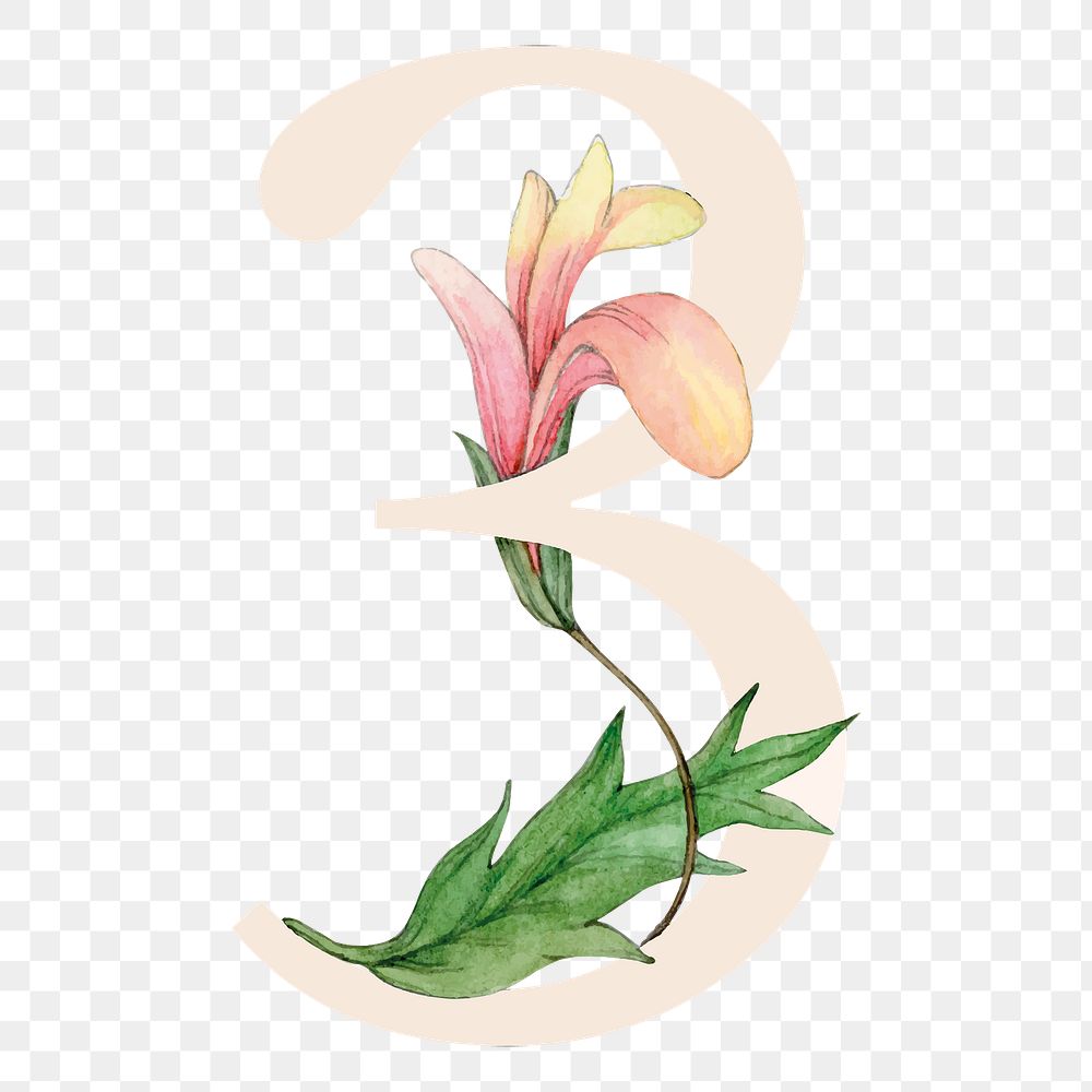 Png number 3 flower sticker, botanical design, transparent background