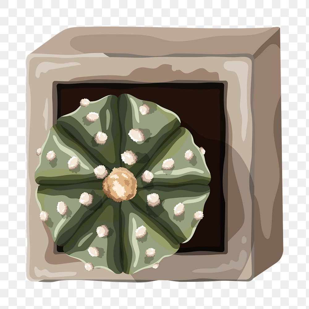 Png cactus sticker, potted plant illustration, transparent background