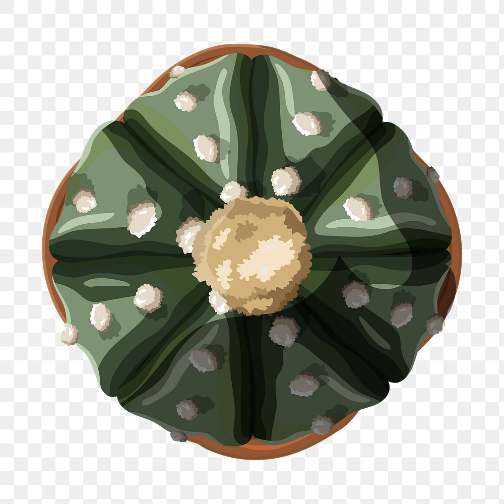 Png cactus sticker, aesthetic illustration, transparent background