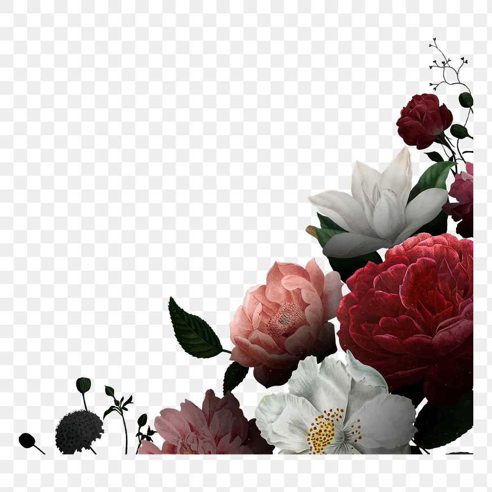 Flower illustration png border sticker, vintage, transparent background