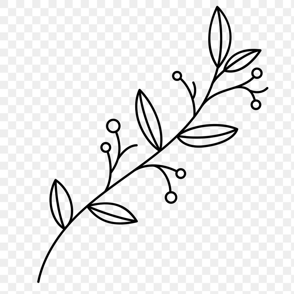 Png Botanical sticker line art, leaves, transparent background