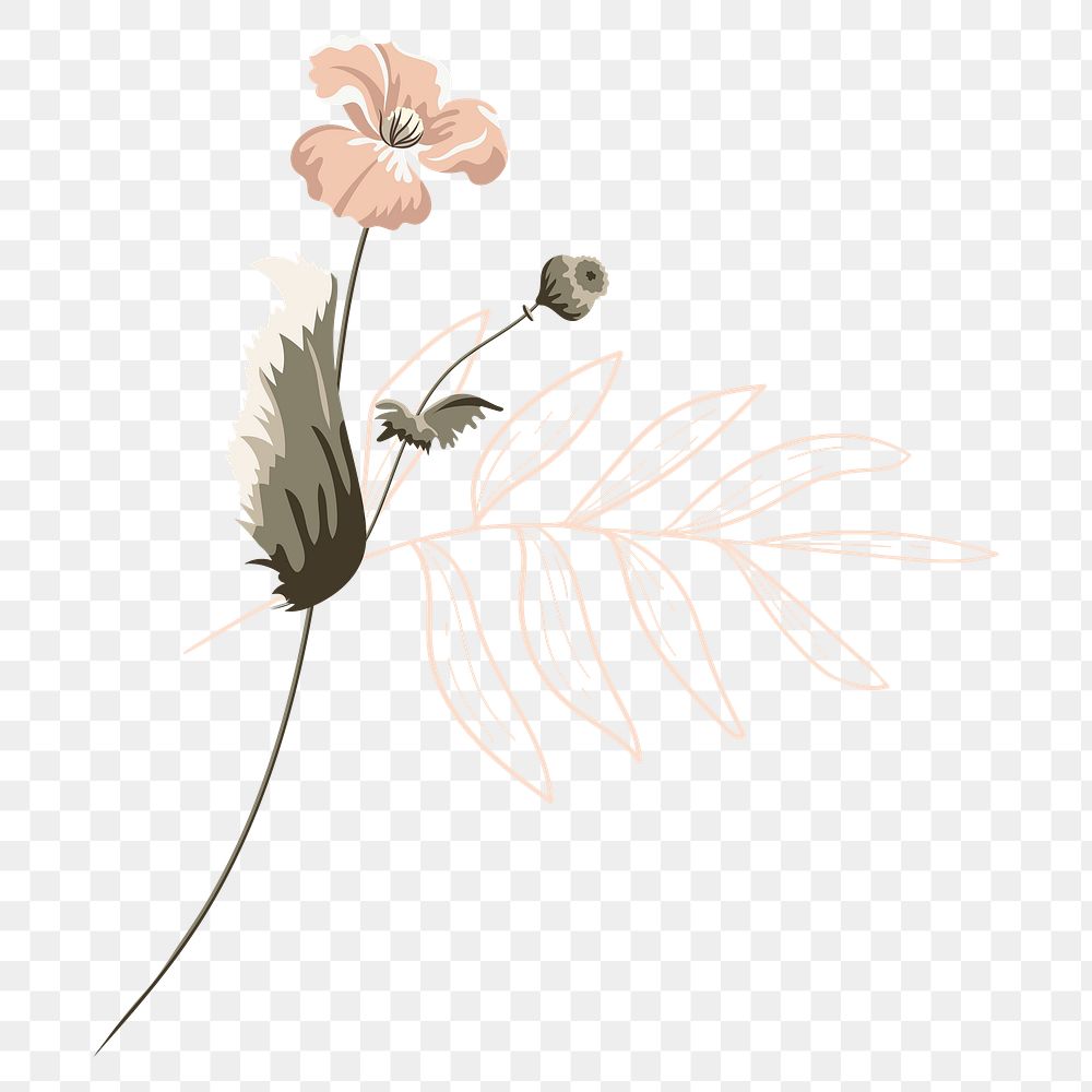 Png Botanical sticker illustration, flower, transparent background