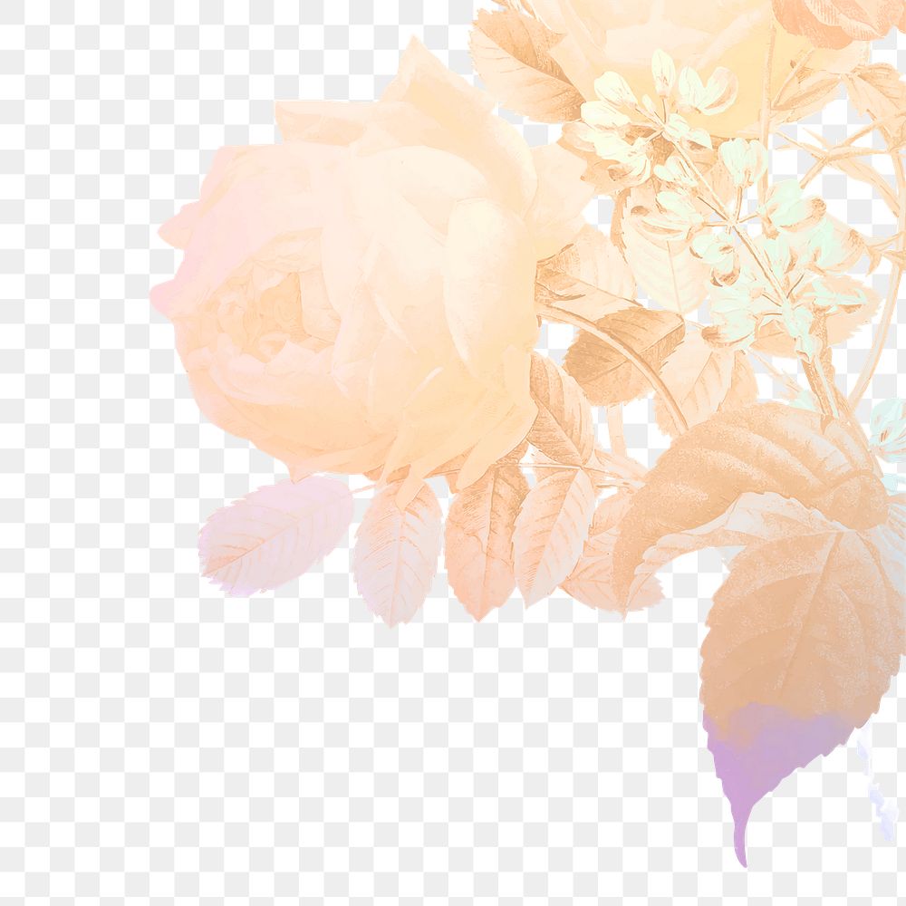 Aesthetic flower png border, transparent background