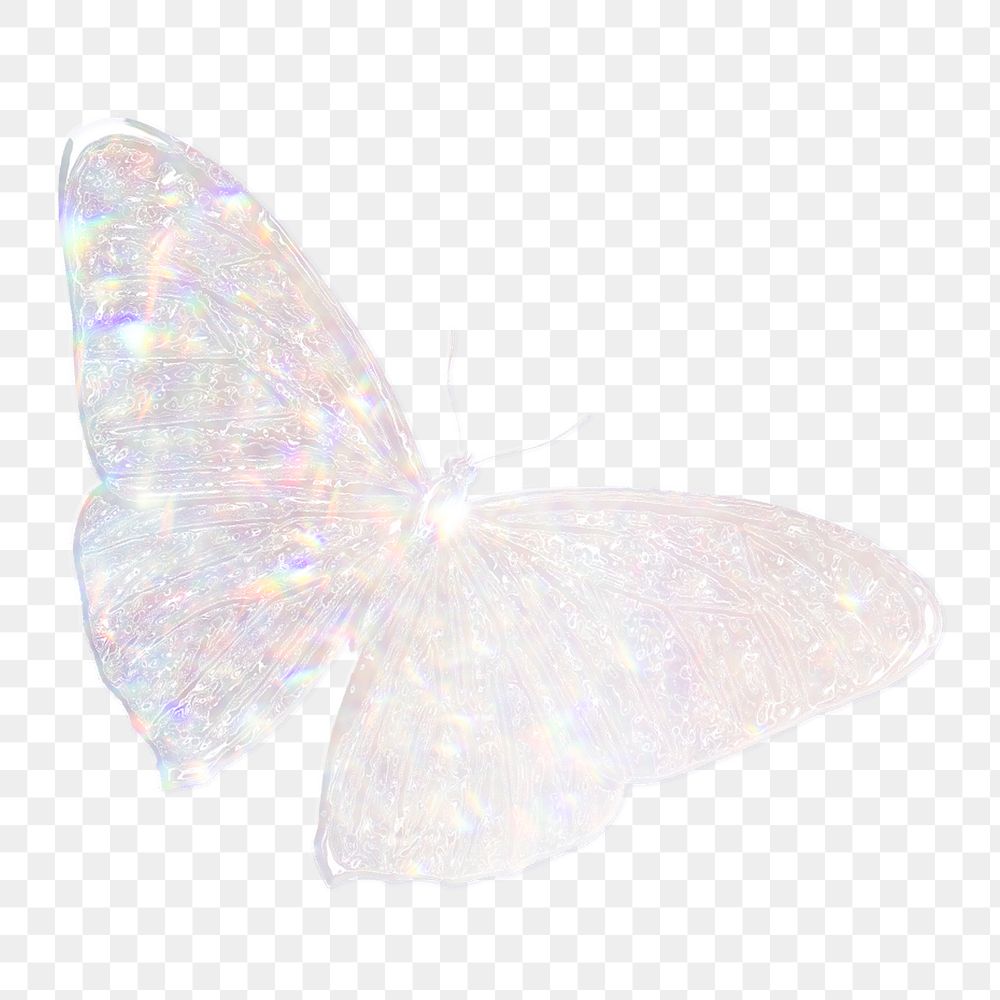 Holographic butterfly png sticker, transparent background