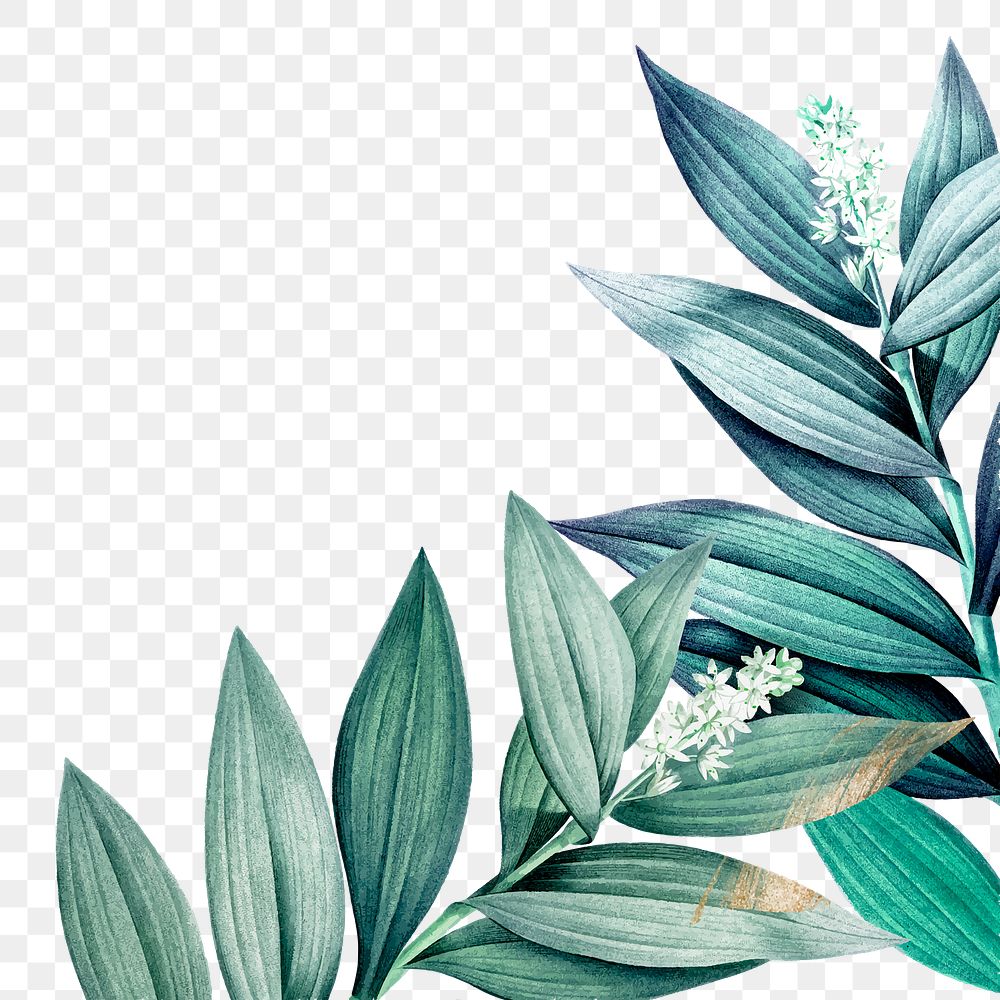 Green leaf png border, transparent background
