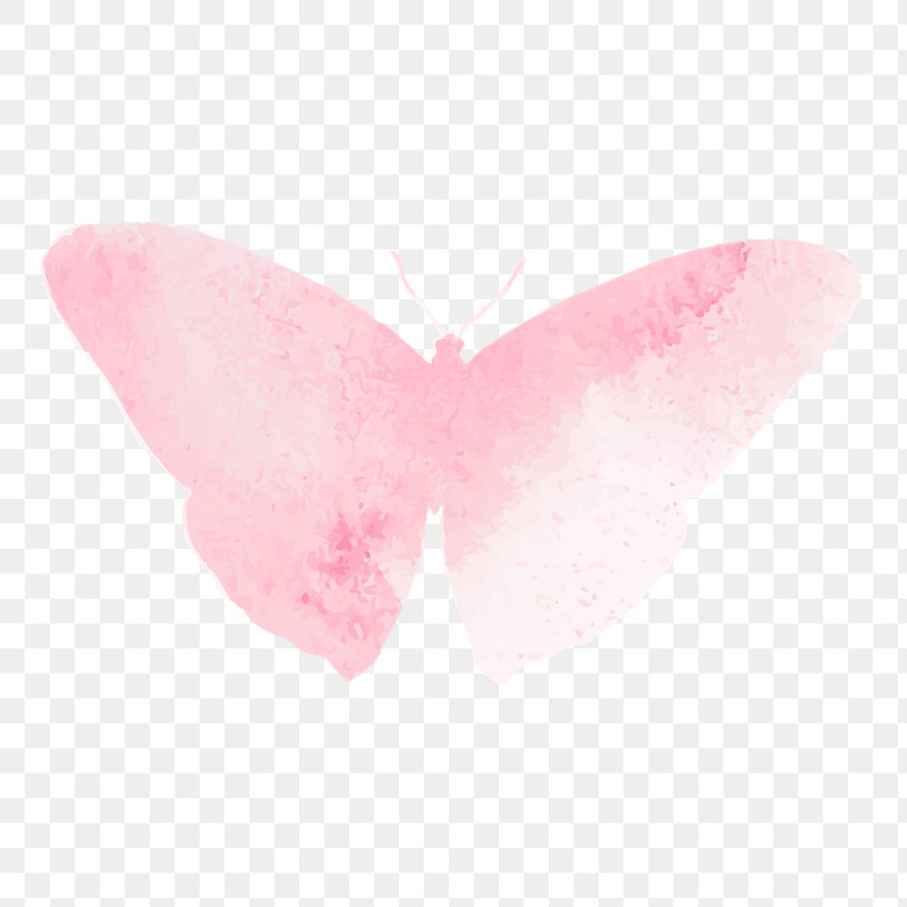 Watercolor butterfly png sticker, transparent background