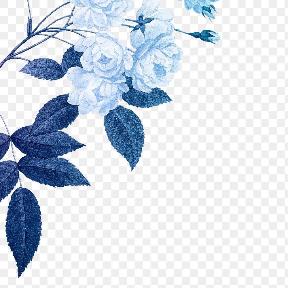 Blue flower png border, transparent background