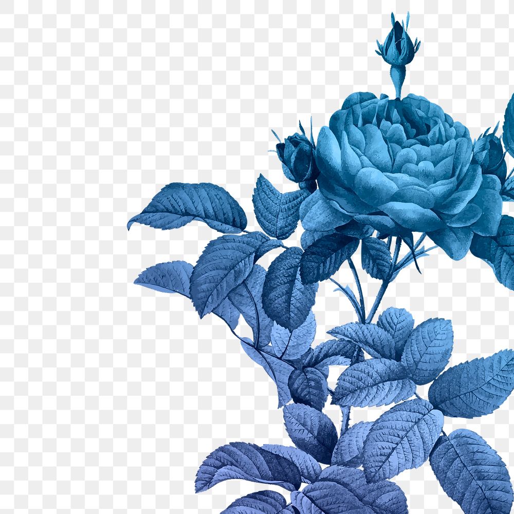 Blue flower png border, transparent background