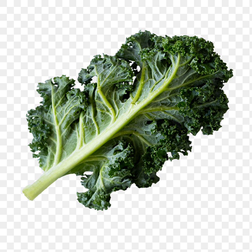 Kale png vegetable sticker, healthy collage element on transparent background