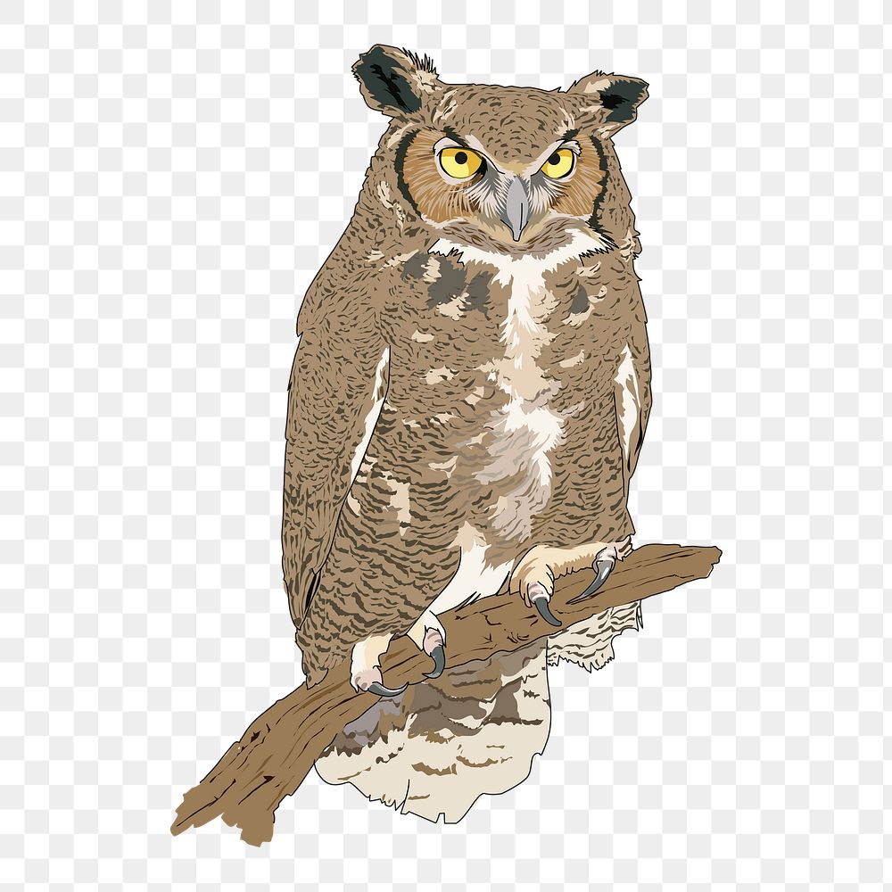 Owl png sticker illustration, transparent background. Free public domain CC0 image.