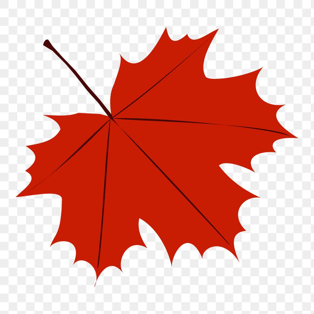 Maple leaf png sticker illustration, transparent background. Free public domain CC0 image.