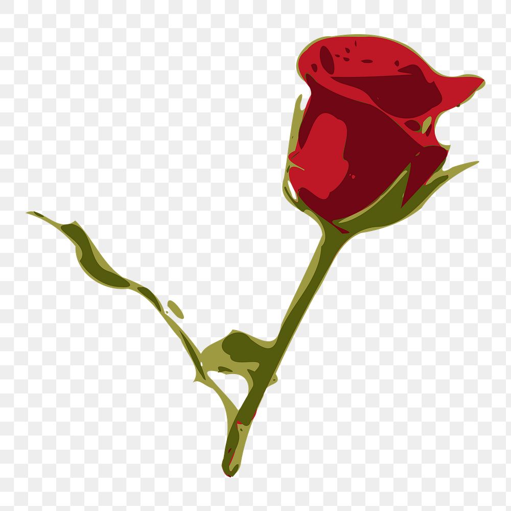 Red rose png sticker illustration, transparent background. Free public domain CC0 image.