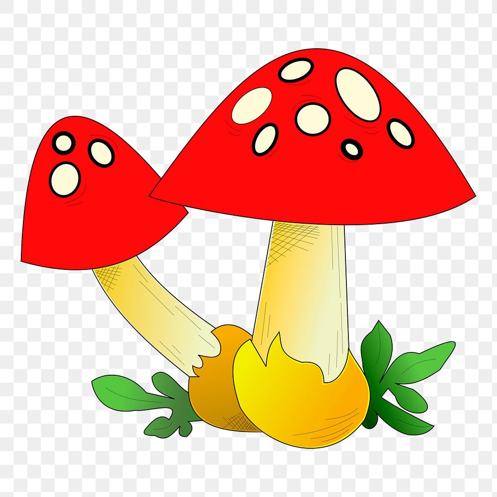 Red mushroom png illustration, transparent background. Free public domain CC0 image.