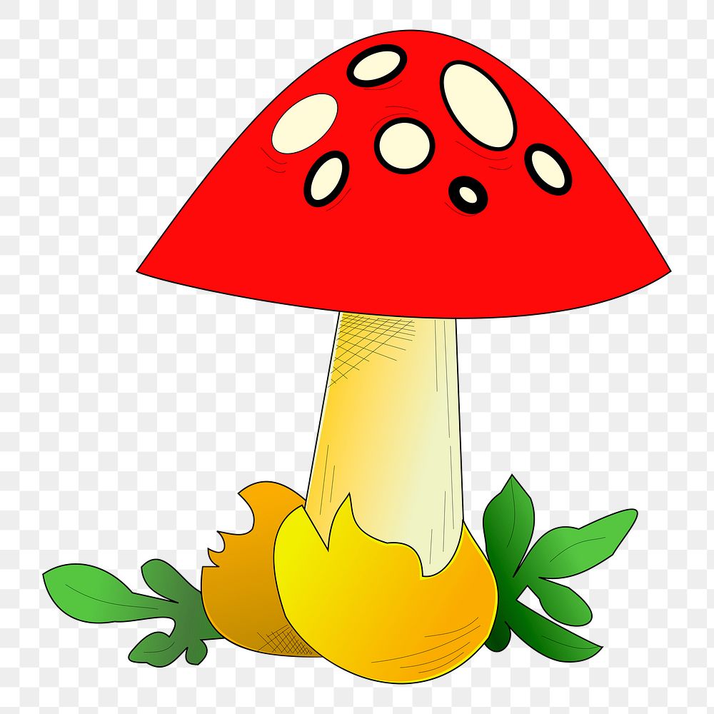 Red mushroom png illustration, transparent background. Free public domain CC0 image.