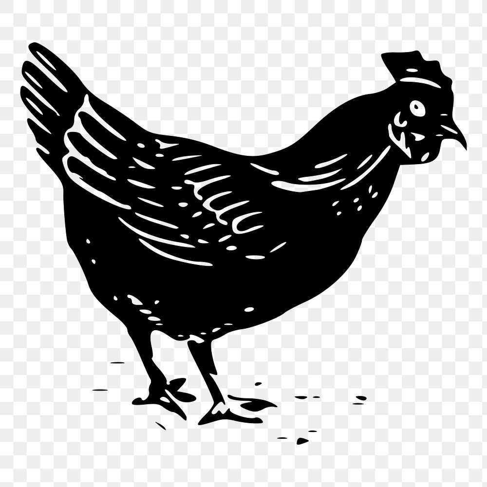 Hen png illustration, transparent background. Free public domain CC0 image.