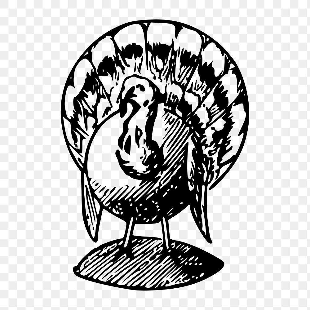 Turkey png  illustration, transparent background. Free public domain CC0 image.