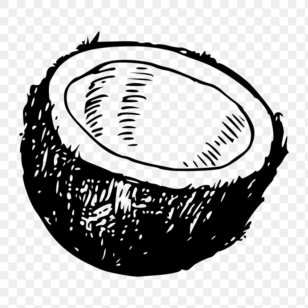 Coconut png  illustration, transparent background. Free public domain CC0 image.