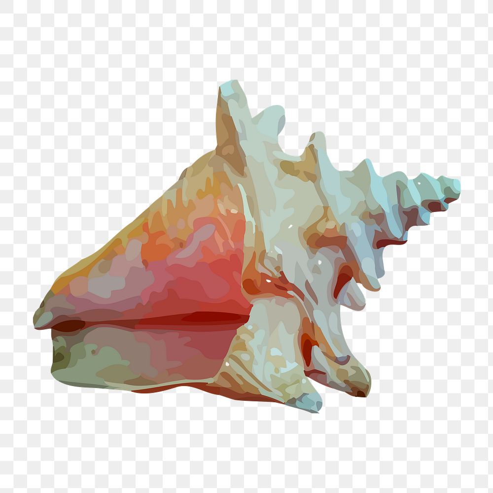 Conch shell png illustration, transparent background. Free public domain CC0 image.