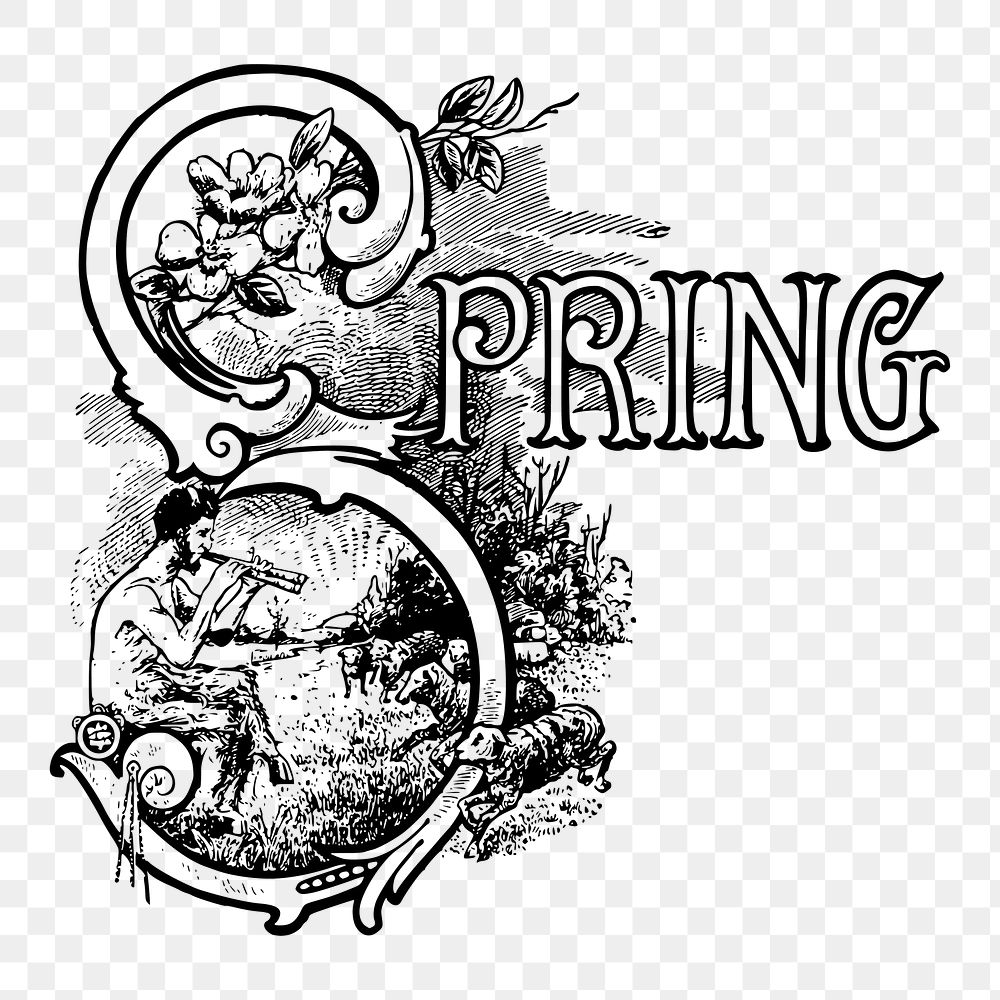 Spring png illustration, transparent background. Free public domain CC0 image.