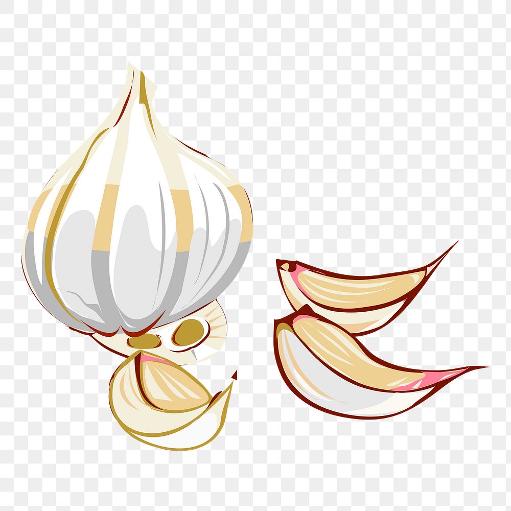 Garlic png sticker, transparent background. Free public domain CC0 image.