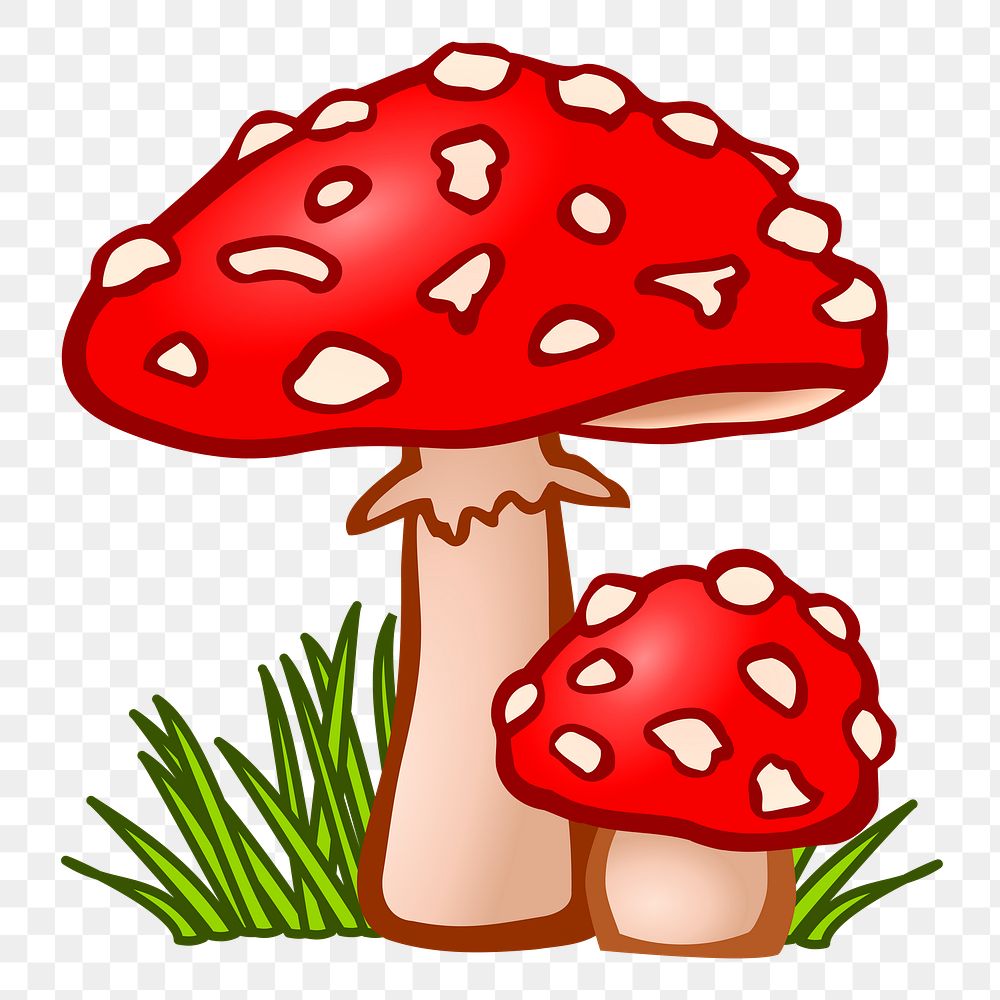 Fly agaric png illustration, transparent background. Free public domain CC0 image.