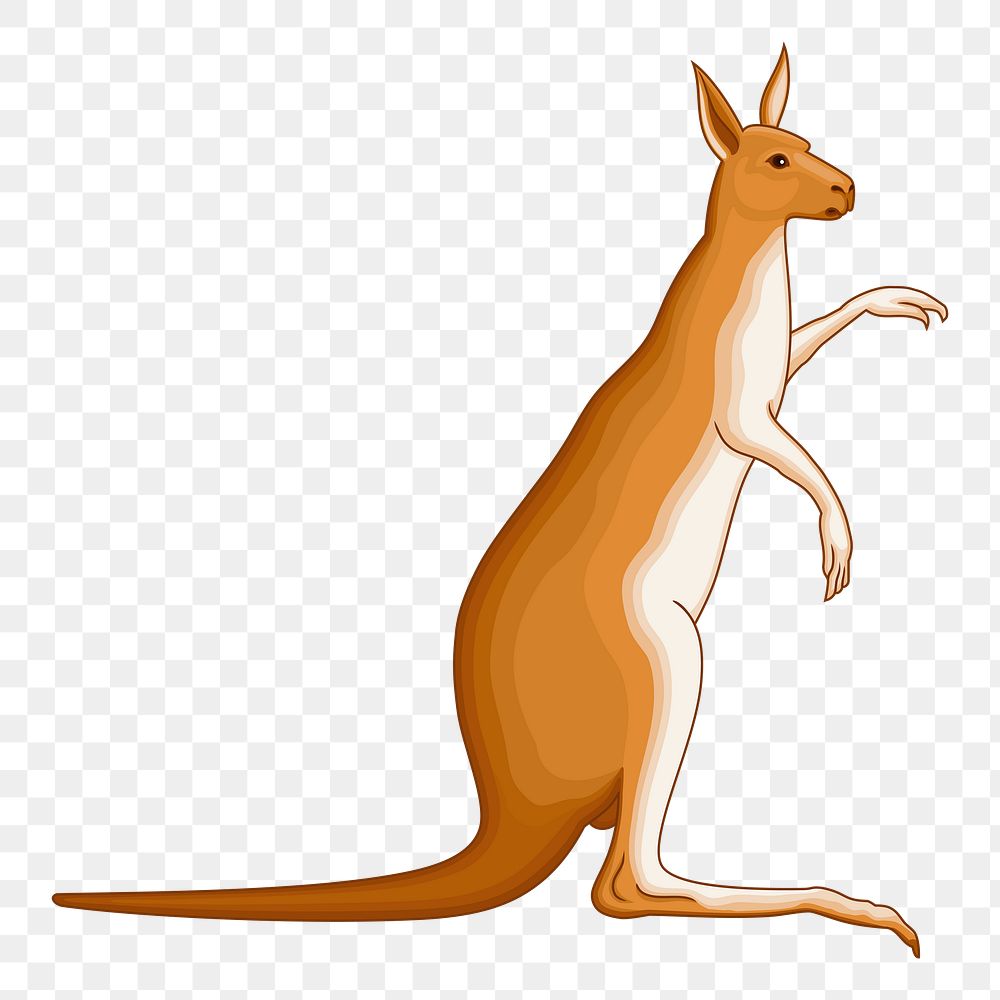 Kangaroo png illustration, transparent background. Free public domain CC0 image.