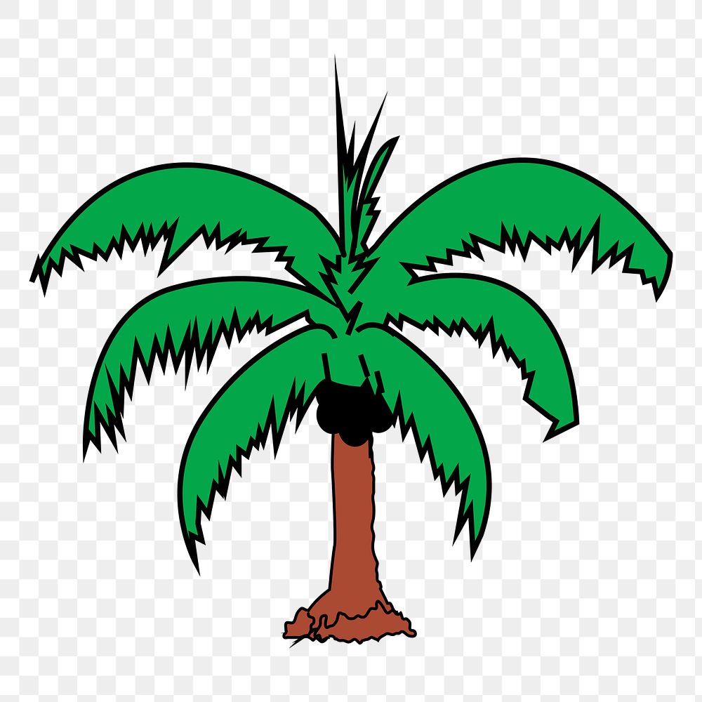 Coconut tree png illustration, transparent background. Free public domain CC0 image.