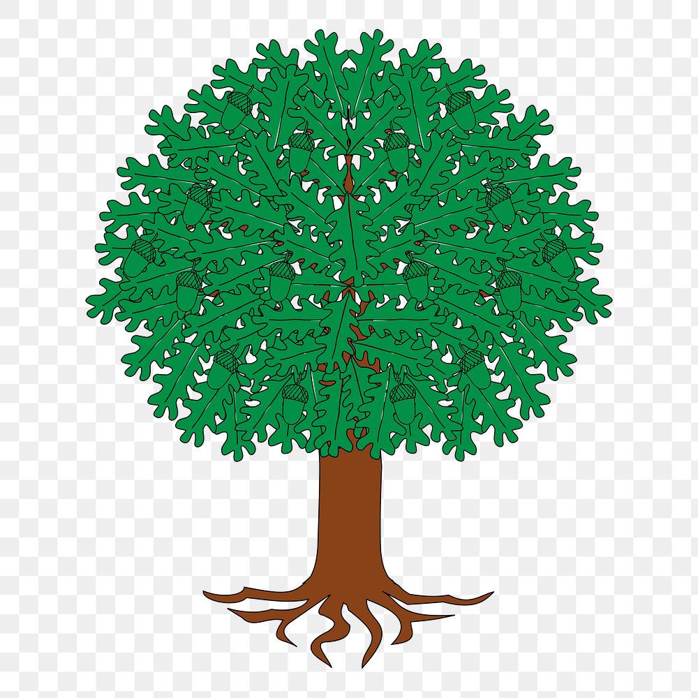 Tree png illustration, transparent background. Free public domain CC0 image.