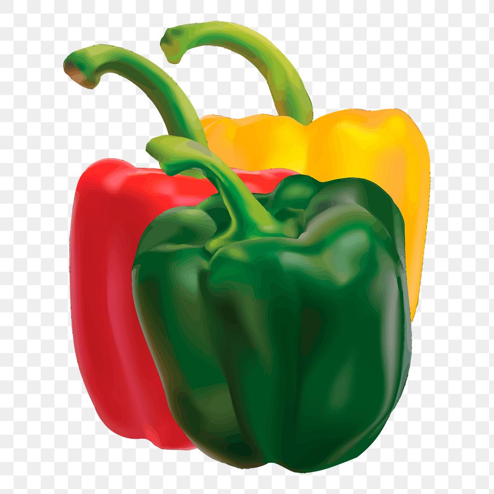 Bell pepper png illustration, transparent background. Free public domain CC0 image.