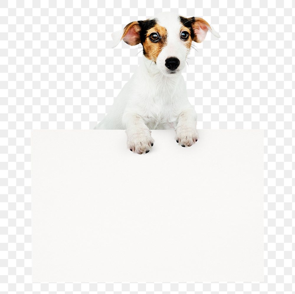 Jack Russell png puppy frame sticker, pet animal image on transparent background