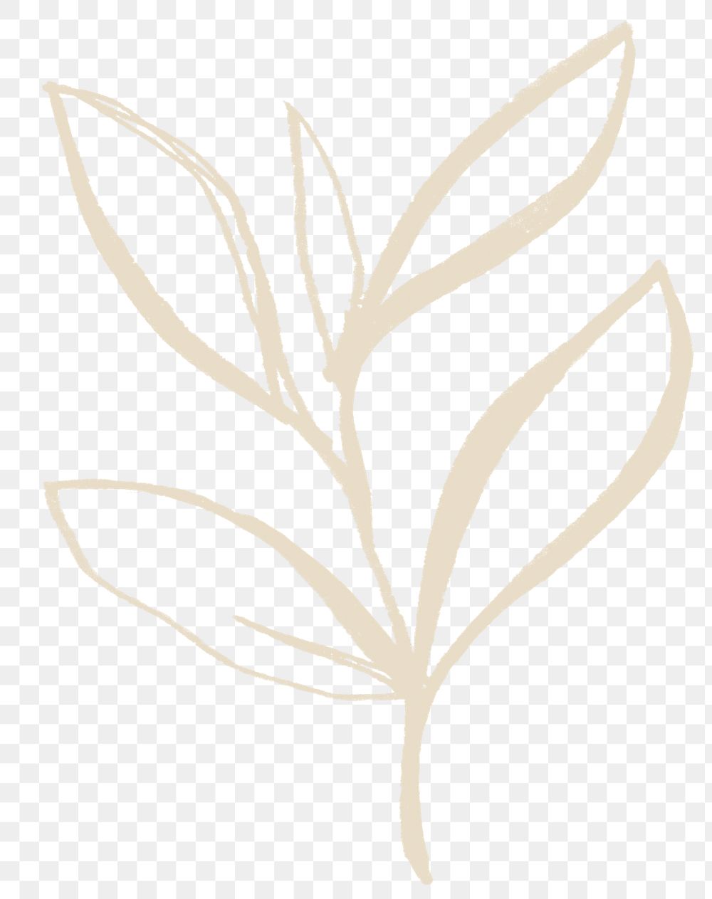 Png line art leaf sticker, transparent background