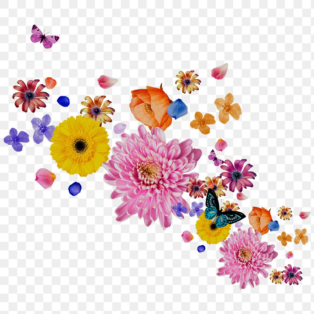 Flower & butterfly png sticker, botanical transparent background
