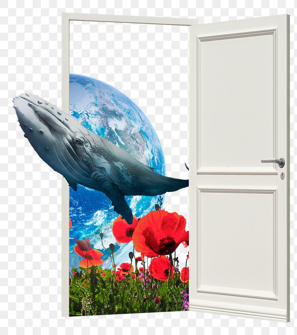 Sea life png collage art, door remixed media, transparent background