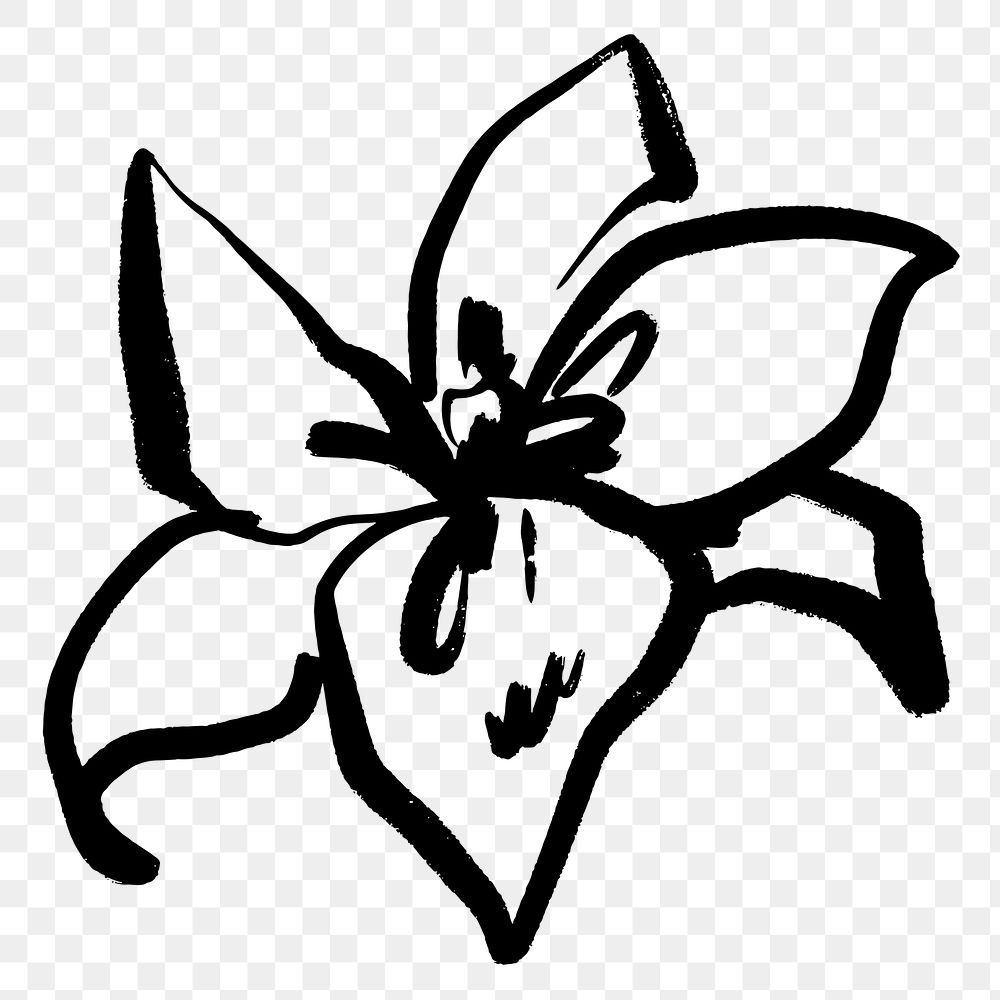 Lily png ink brush sticker, transparent background