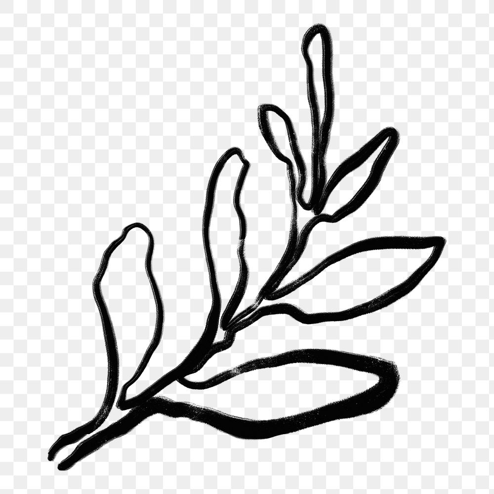 Leaf png sticker, ink brush botanical transparent background