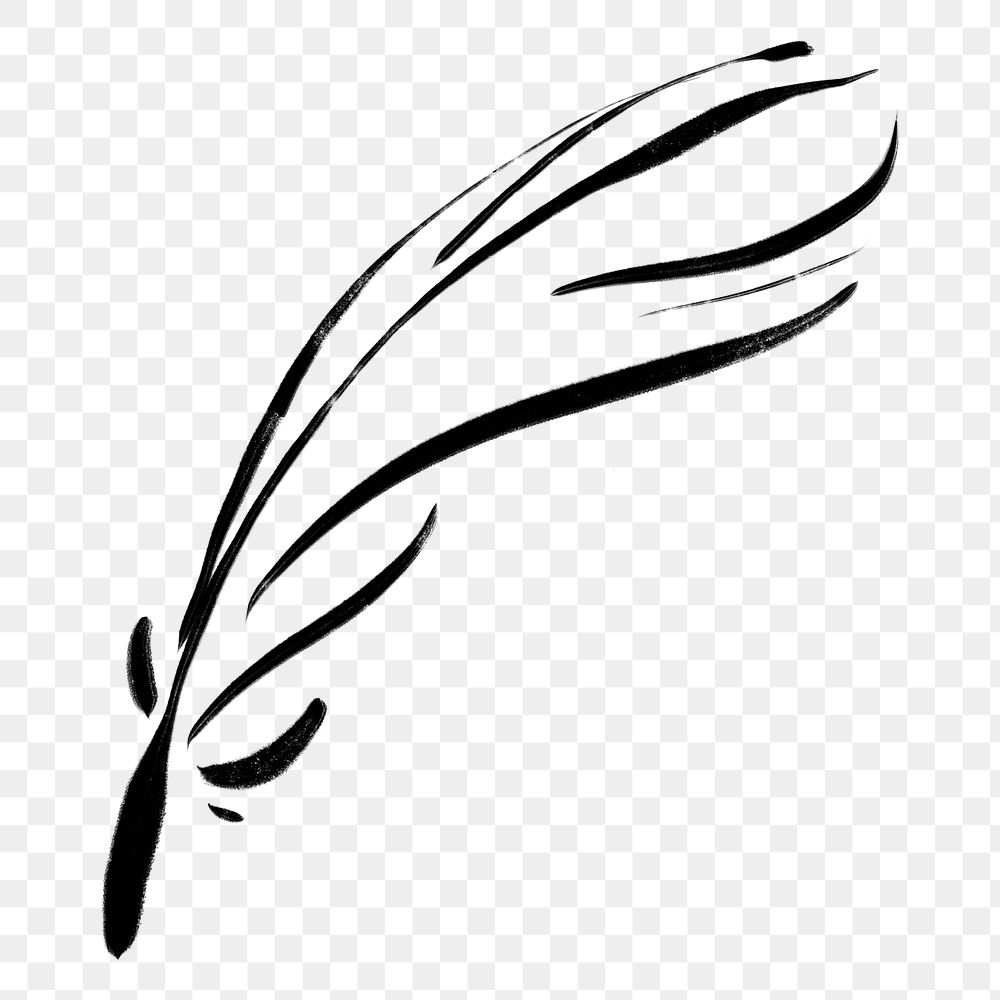 Feather  png clipart, drawing illustration, transparent background