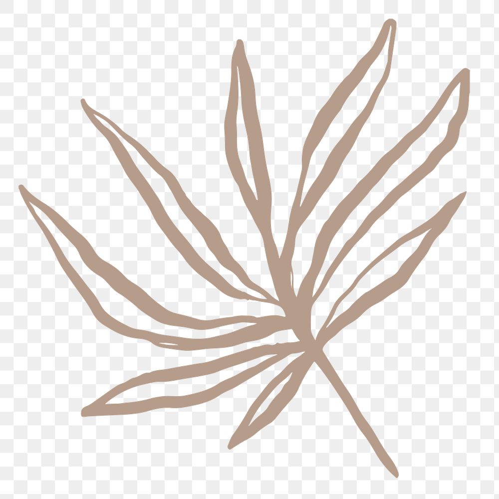 Leaf png sticker, botanical line art transparent background 