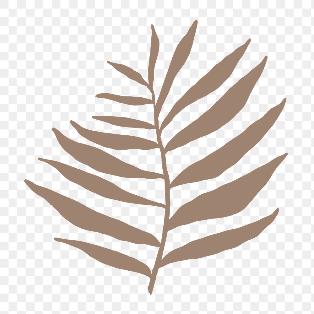 Aesthetic leaf png sticker, botanical line art transparent background 