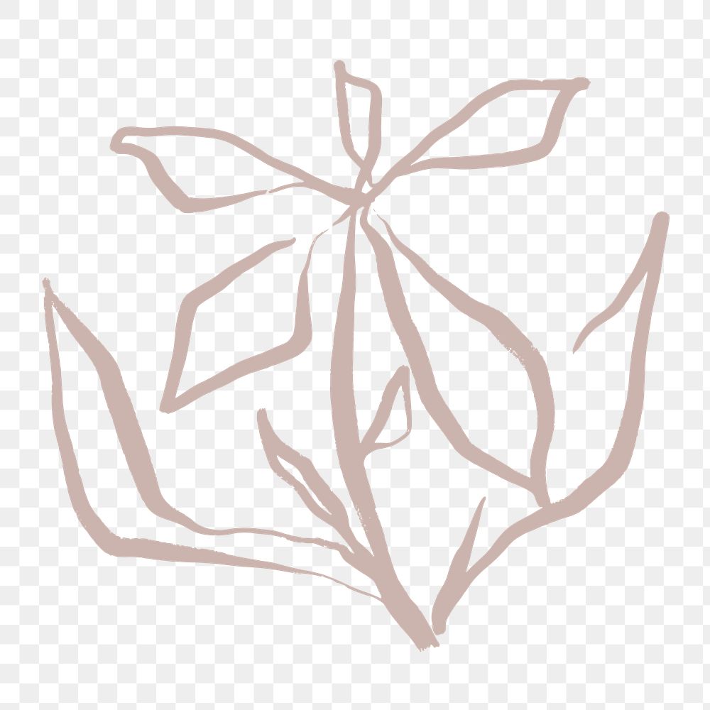 Beige flower png sticker, line art design on transparent background