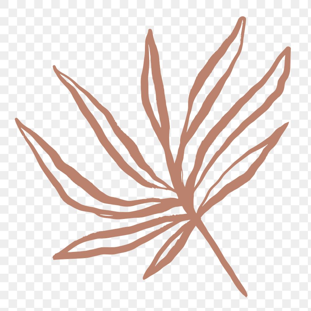 Leaf png sticker, botanical line art transparent background 