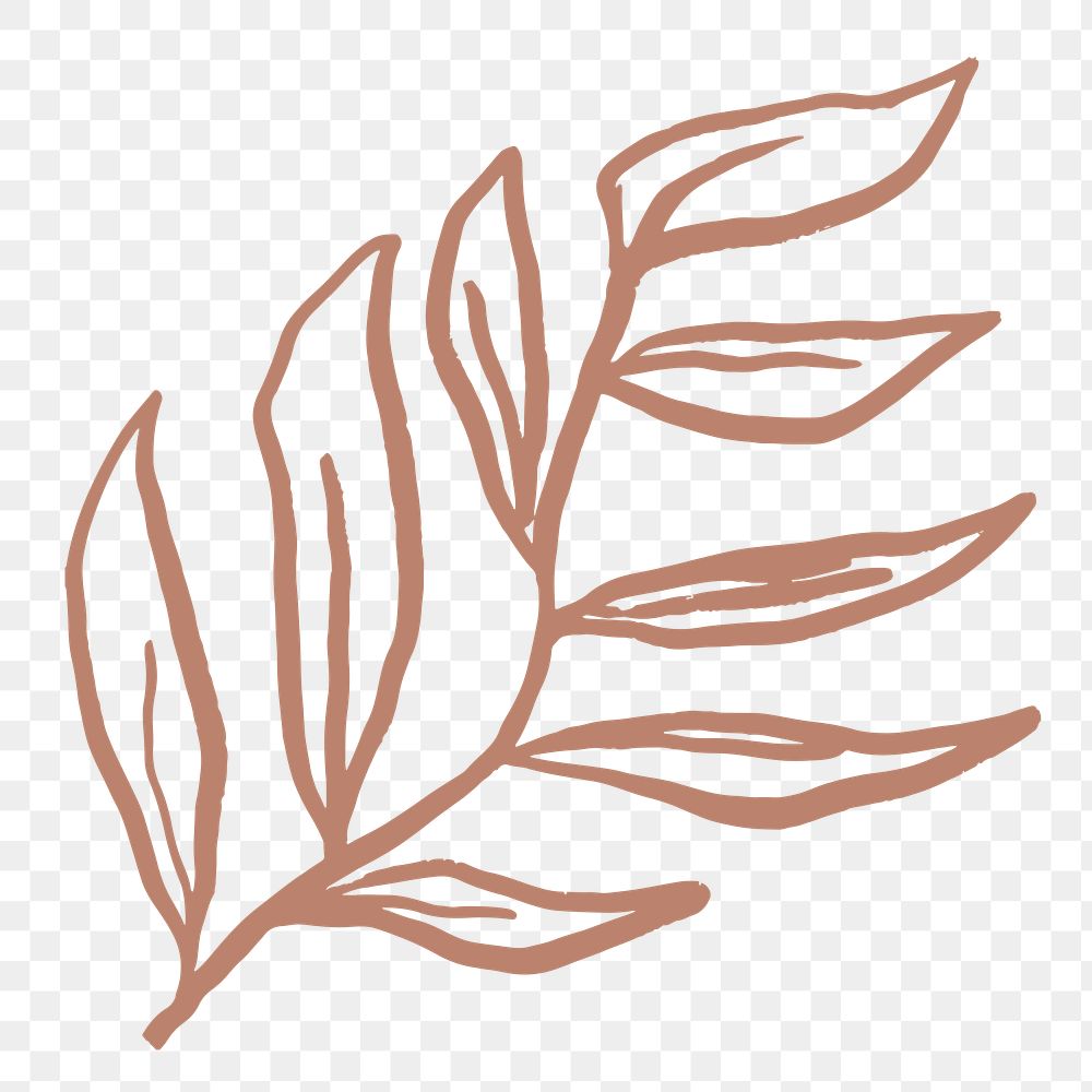 Leaf png sticker, botanical line art transparent background 