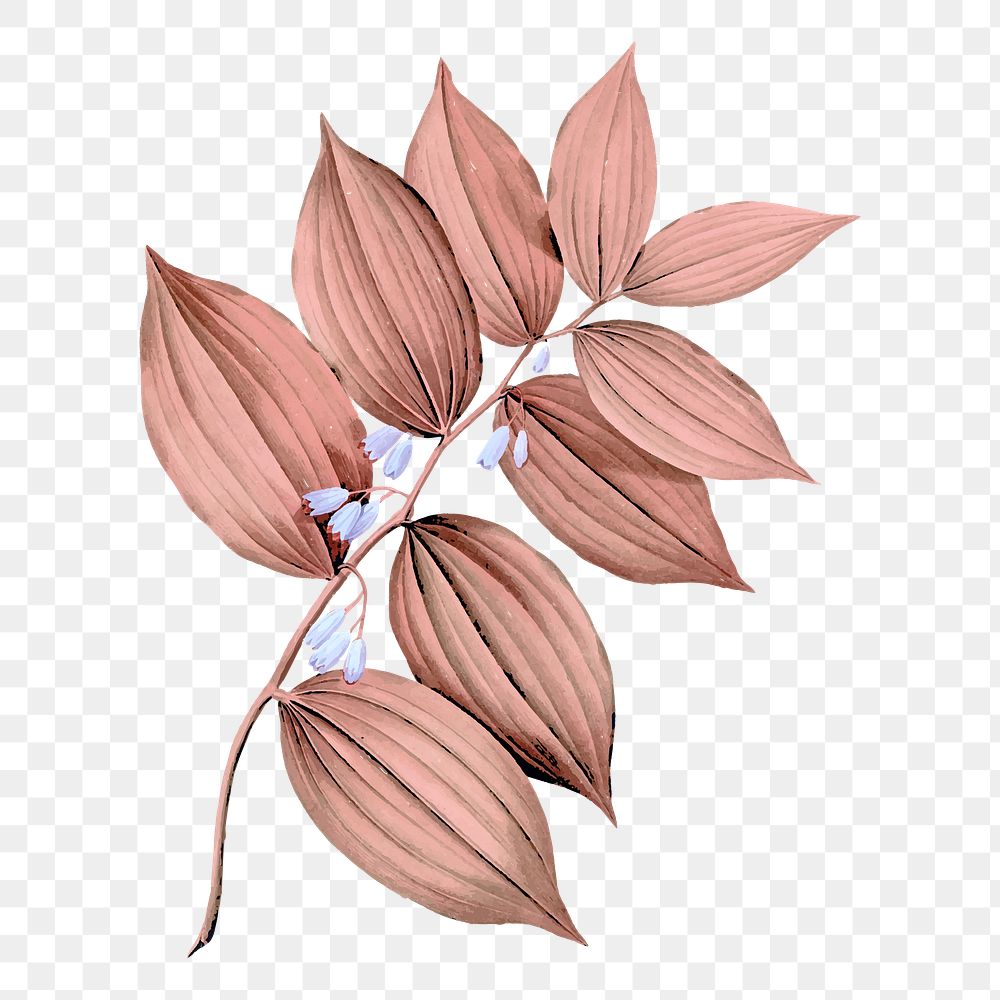 Pink leaf png sticker, transparent background