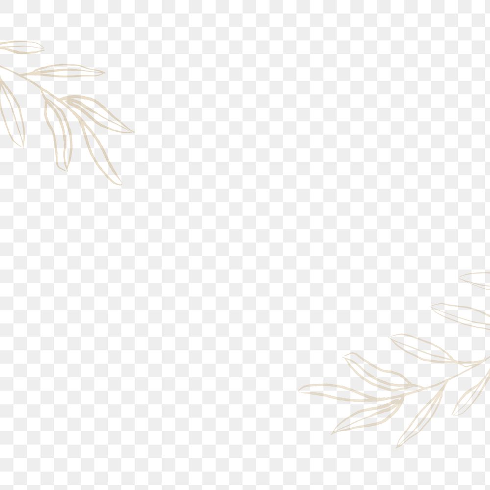 Drawing leaf png border, transparent background