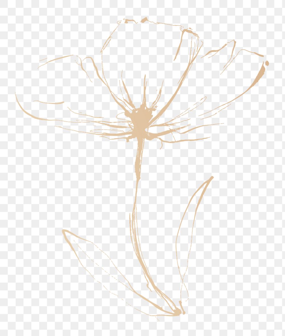 Drawing flower png sticker, transparent background