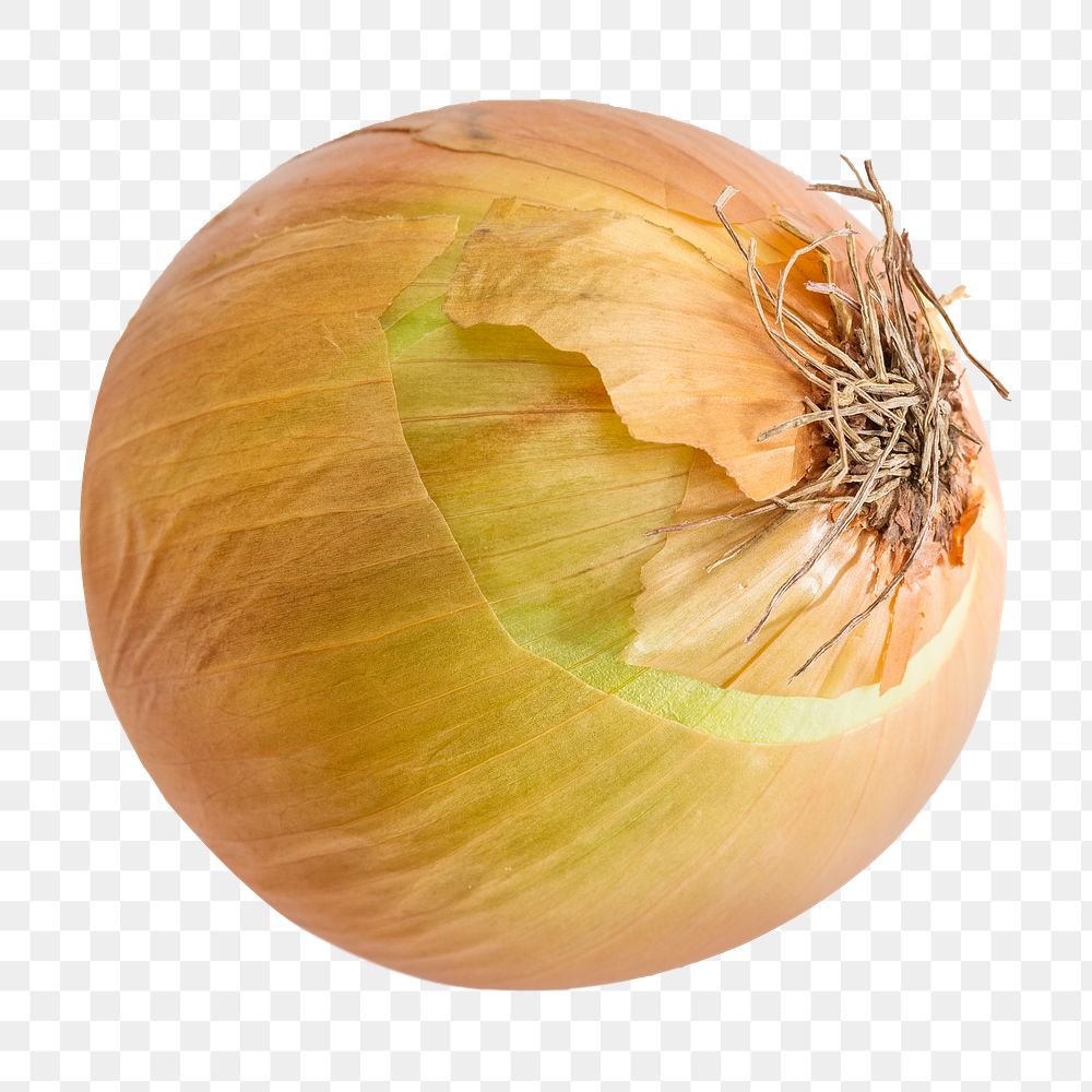 Onion vegetable png sticker, transparent background